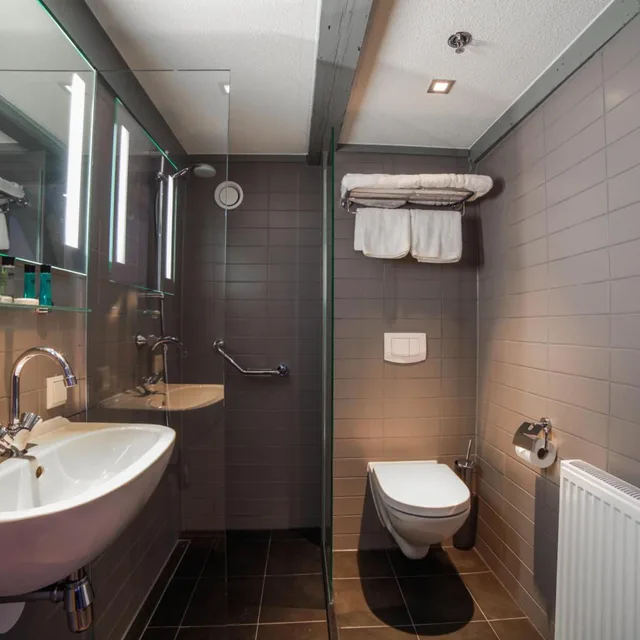 Room, Twin Beds, Partial View، Hotel Amsterdam Mansion 8/9