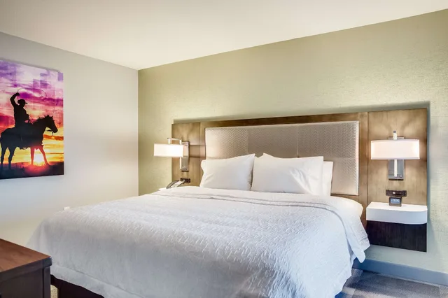 جناح بسرير كينج بإطلالة على المدينة مع أريكة، Hampton Inn and Suites Fort Worth Downtown, TX 1/4