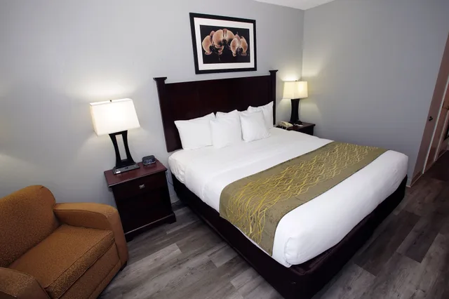 غرفة مفردة بسرير كينج مع أريكة، Best Western Paramus Hotel & Suites 3/7