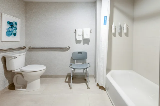 Suite, Queen Bed, Accessible, Hampton Inn & Suites Venice Bayside South Sarasota 4/4