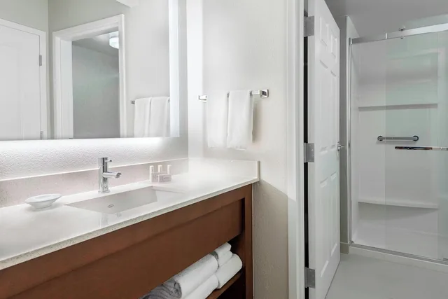 Studio, Queen Bed, Sofa, Residence Inn by Marriott Tampa at USF/Medical Center 3/4