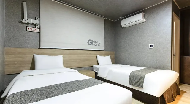 غرفة ديلوكس بسريرين منفصلين بإطلالة على المدينة، Malu Hotel 5/10