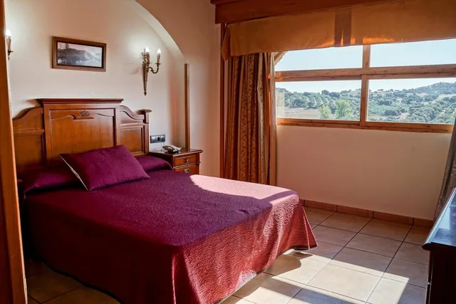 Room, Double Bed, HOTEL ALFONSO VIII 1/3