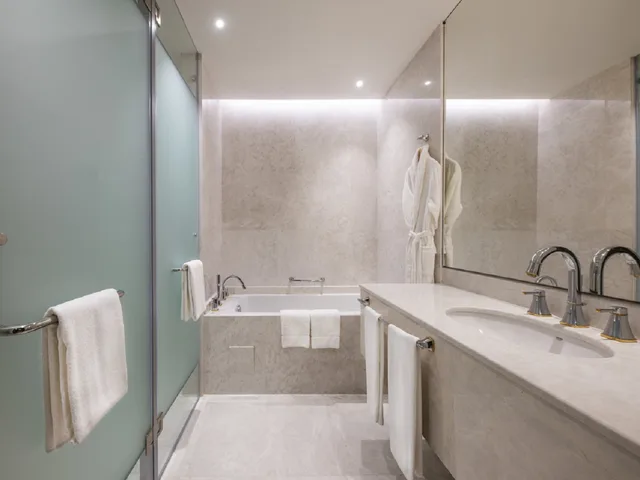 جناح جونيور تنفيذي بانورامي بسرير كينج بإطلالة على الجبل، Swissotel Wellness Resort Alatau Almaty 7/9
