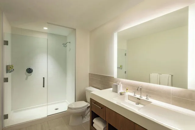 غرفة قياسية بسرير كينج لذوي الإعاقة، Element Philadelphia Downtown 3/7