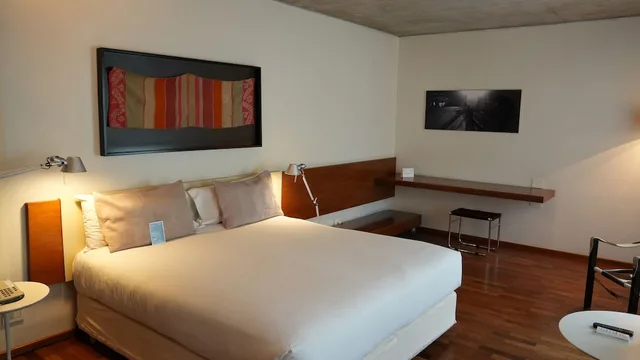 Junior Suite, Studio, Queen Bed، Design Suites Salta 1/4