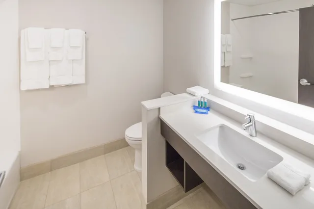 Room, King Bed, Accessible, Holiday Inn Express Suites Indianapolis Nw Whitestown 3/3
