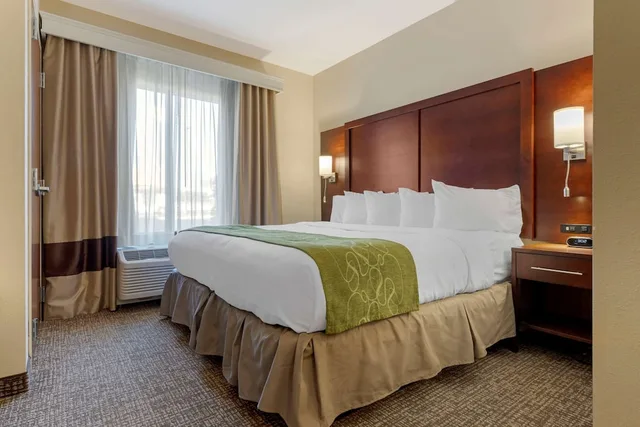 جناح بسرير كينج مع أريكة لذوي الإعاقة، Comfort Suites Piedmont - Greenville South 1/2