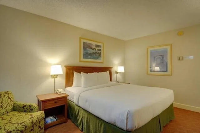 Room, King Bed, Bay View, Patio، Vagabond Inn Executive San Francisco Airport 6/8