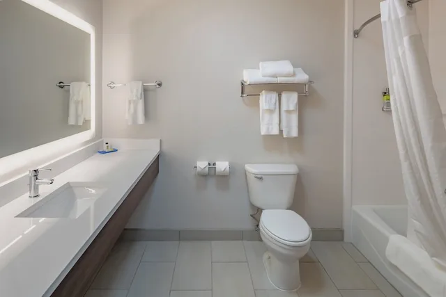 غرفة قياسية بسرير فردي، Holiday Inn Express Suites N Waco Area West 1/3