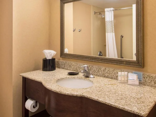 استوديو بسرير كينج مع أريكة لذوي الإعاقة، Hampton Inn and Suites Rogers 4/6