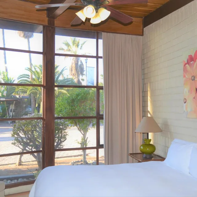 Deluxe, Suite, Quintas Papagayo 2/4