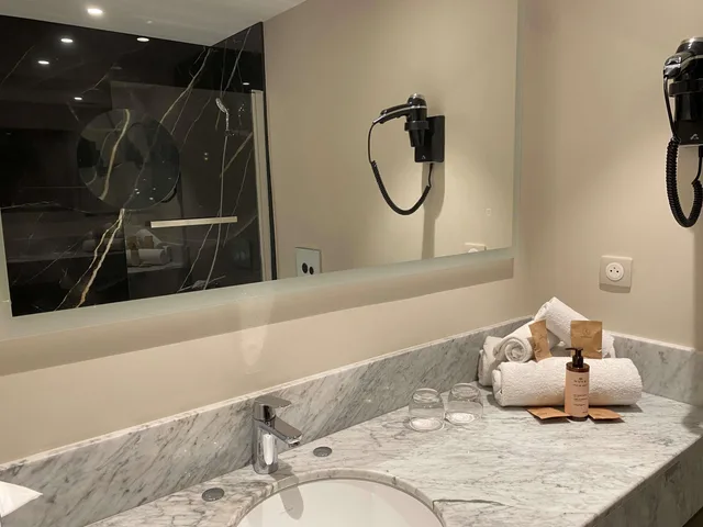 غرفة سوبيريور بسرير كوين، MERCURE ORLEANS CENTRE 5/5