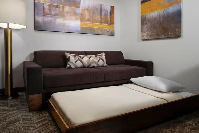 استوديو مع أريكة لذوي الإعاقة، Springhill Suites By Marriott Pittsburgh Mt Lebanon 2/3