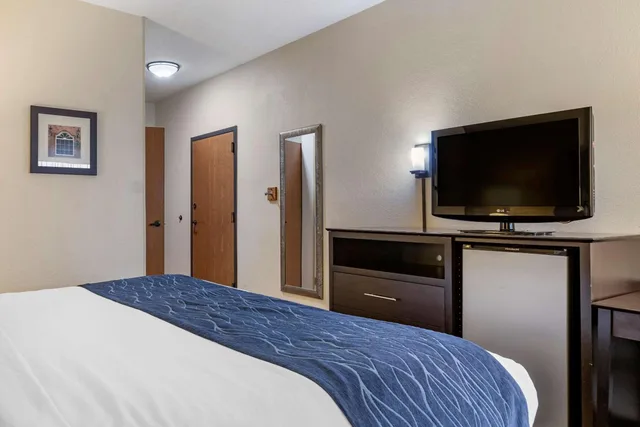 Room, King Bed, Bathtub, Accessible, Comfort Inn Wings Stadium 3/10