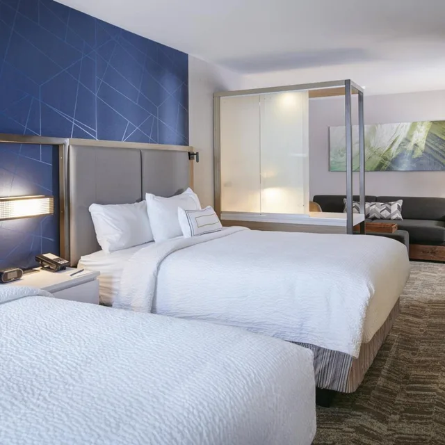 جناح بسرير كوين بإطلالة على المدينة لذوي الإعاقة، Springhill Suites Detroit Wixom 2/10