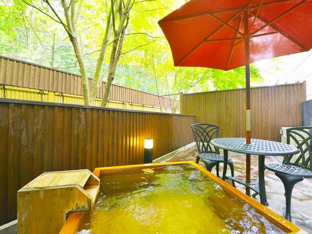 Standard, Mountain View, Outdoor Bath, Smoking، Hotel Euro City 1/1