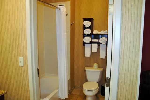 جناح استوديو بسرير كينج مع أريكة، Hampton Inn And Suites Cincinnati Uptown University Area Oh 5/6