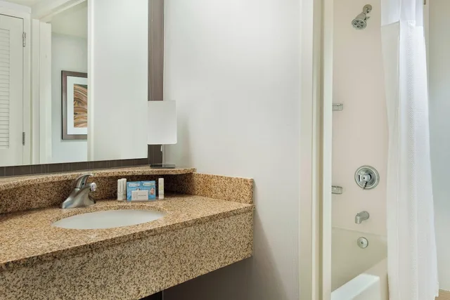 غرفة بسرير كينج مع أريكة لذوي الإعاقة، Courtyard By Marriott Asheville 2/3