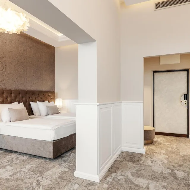 Executive, Double Bed, Grandhotel Brno 2/10