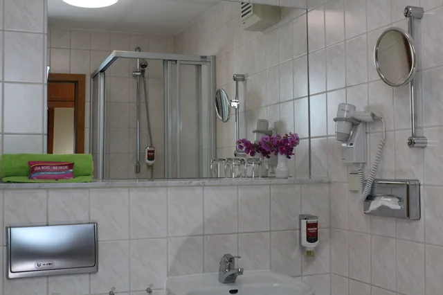 غرفة قياسية بسريرين منفصلين، Hotel Weisser Schwan 5/5