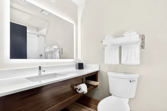 غرفة قياسية بسرير كينج لذوي الإعاقة، Holiday Inn Clarkston - Lewiston 5/9