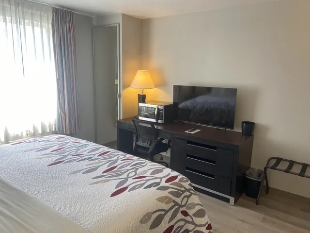 Standard, King Bed, Accessible, Red Roof Inn Pittsburgh Mcknight Rd 1/4