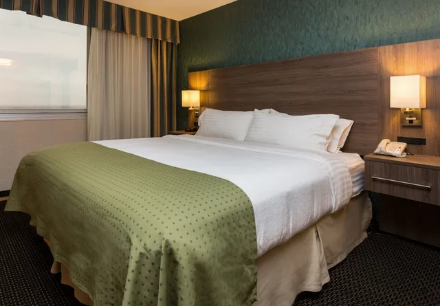 غرفة قياسية بسرير كينج، Holiday Inn Des Moines Downtown-Mercy Area 8/10