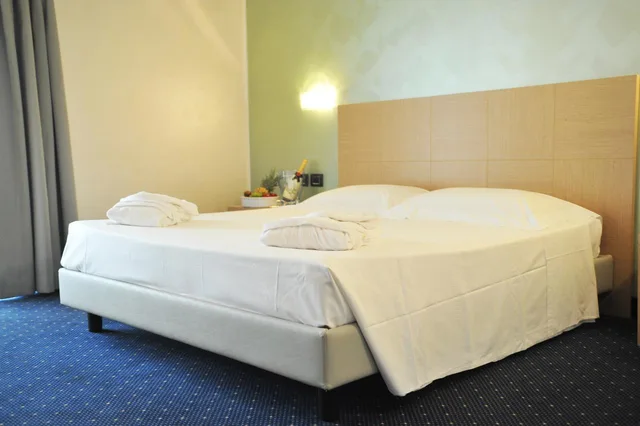 Standard, Quadruple, Palace Hotel Zingonia 1/4