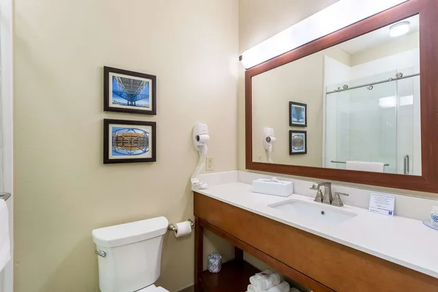 جناح بسرير كينج، Sonesta Essential Hotels Baton Rouge 6/7