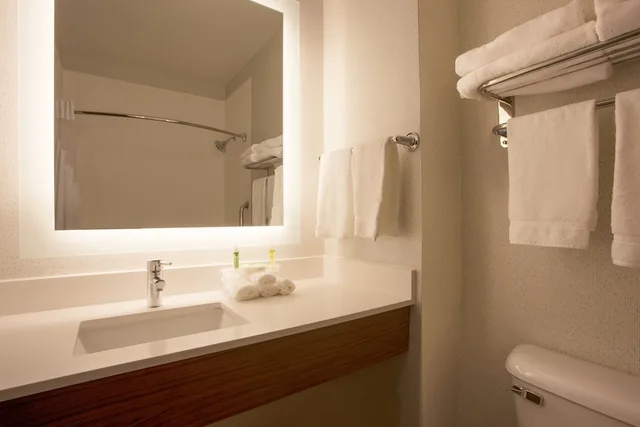 جناح بسريرين كوين، Holiday Inn Express Suites Davis University Area 6/7