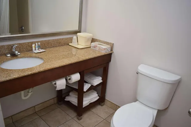 غرفة بسريرين كوين لذوي الإعاقة، Comfort Inn & Suites Syracuse-Carrier Circle 9/10