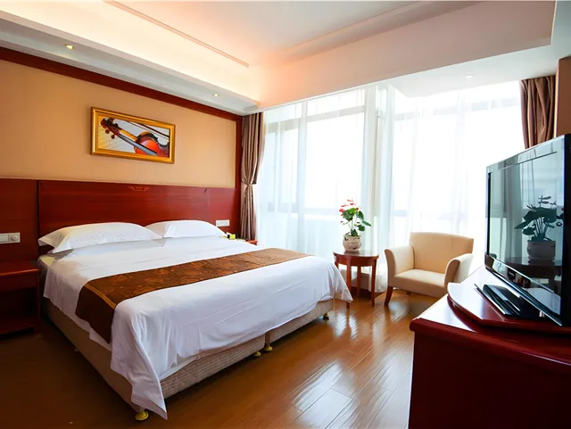جناح بزنس، Vienna Hotel Shanghai Pudong Airport New International Expo Center 1/1