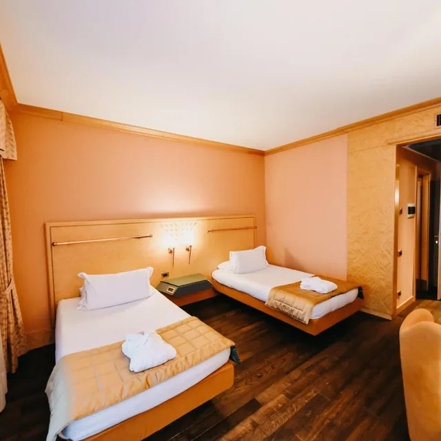 غرفة قياسية بسرير مزدوج أو سريرين منفصلين، Hotel Antonella 6/10