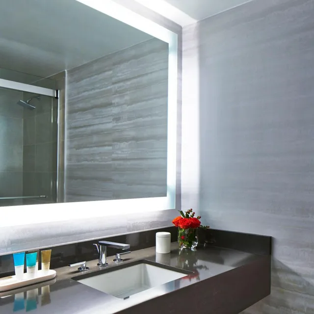 Portman, Suite, Balcony، Hyatt Regency Atlanta 5/5