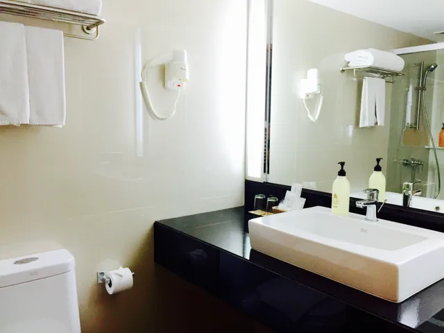 استوديو، Indra Regent Hotel 4/4