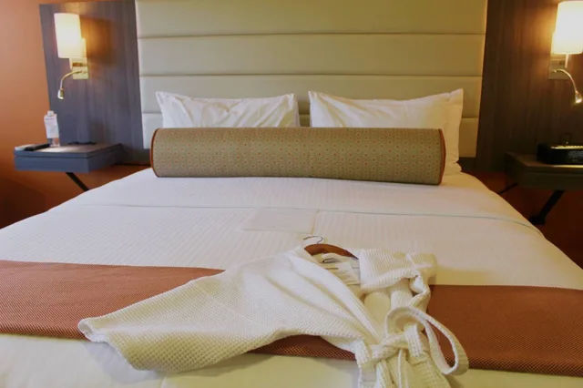 غرفة بريميوم بسرير كينج مع أريكة، Hotel Avante A Joie de Vivre Boutique Hotel 5/5