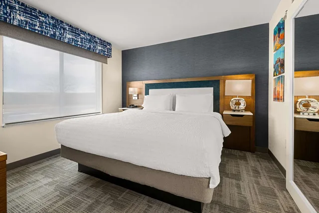 جناح استوديو بسرير كينج، Hampton Inn and Suites Bessemer Birmingham 1/2