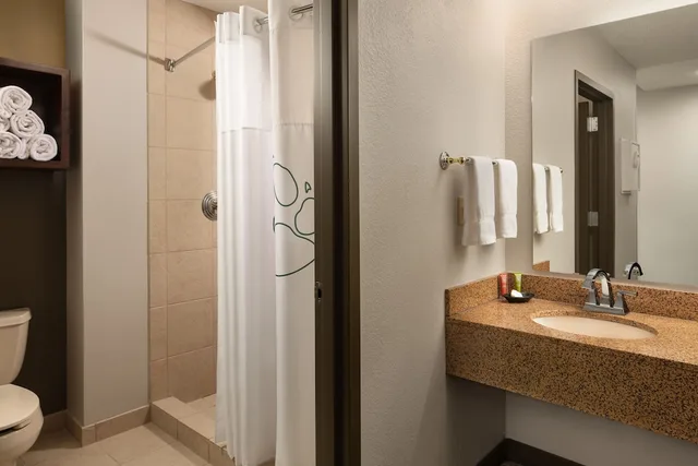 Grizzly Bear, Water, Suite, 3 Queen Beds, Sofa، Great Wolf Lodge Cincinnati/Mason 2/2