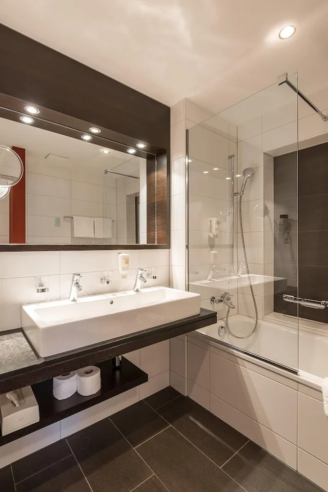 غرفة بزنس كلاسيكية، Hotel Alpina Luzern 9/10