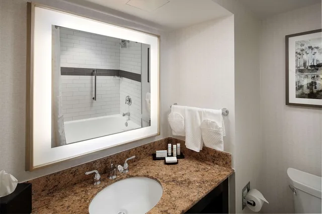 جناح بريميوم بسرير كينج بغرفتين، Embassy Suites Tysons Corner 3/4