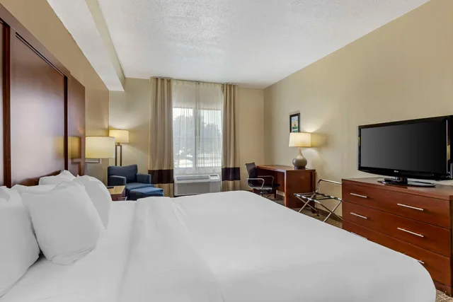 غرفة بسرير مزدوج، Comfort Inn and Suites Seguin, TX 1/4