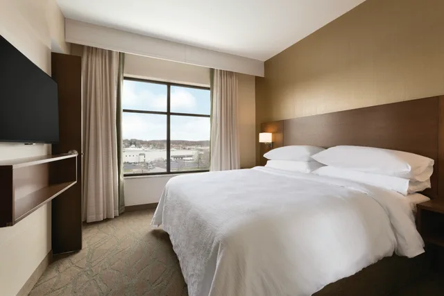 جناح استوديو بسرير كينج لذوي الإعاقة، Embassy Suites Akron-Canton Airport 1/8