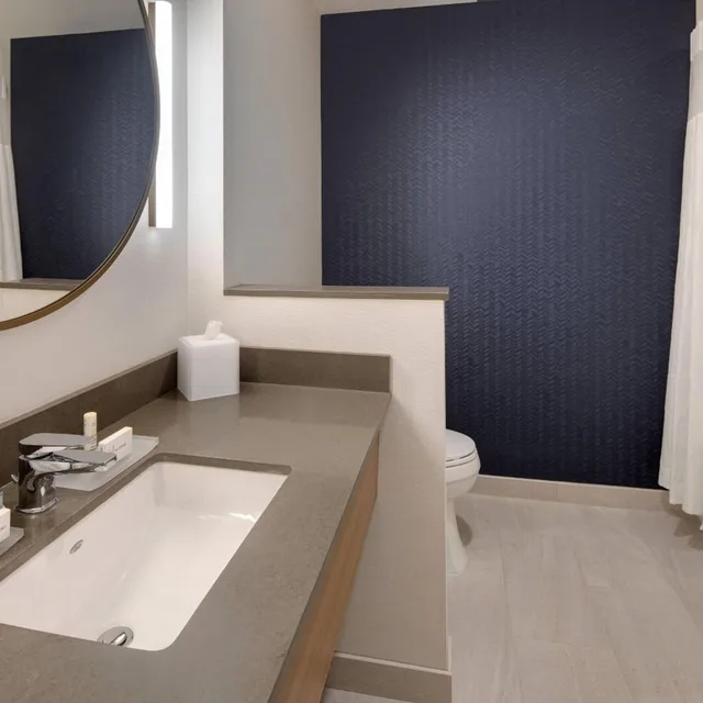 غرفة بسرير كينج بحوض استحمام لذوي الإعاقة، Fairfield Inn And Suites By Marriott Tampa Wesley Chapel 8/10