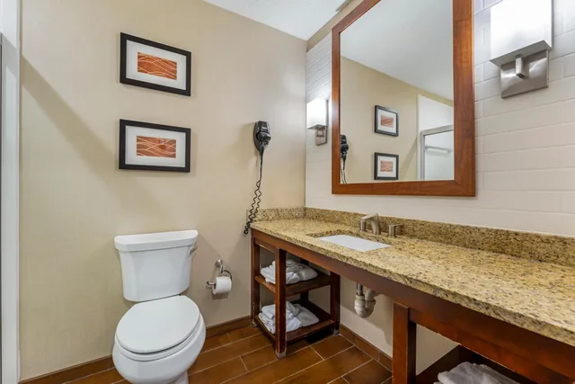 جناح بسريرين كوين مع أريكة، Comfort Inn & Suites Triadelphia - Wheeling 4/5