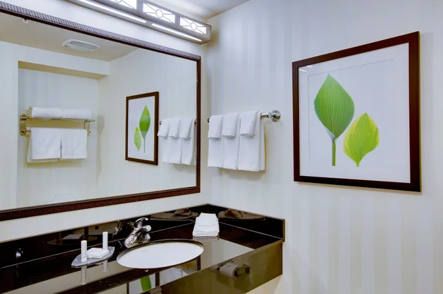 استوديو بسرير كينج مع أريكة، Fairfield Inn Suites Melbourne Palm Bay Viera 4/4