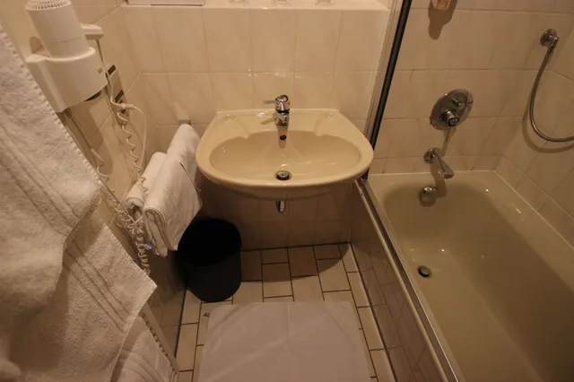 Modern, Family, 1 Double and 1 Single Bed, Balcony, Hotel Waldblick 9/10