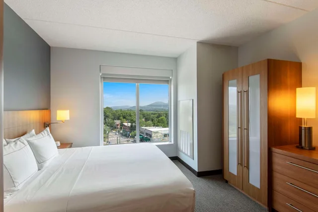 غرفة بسرير كينج بإطلالة على الجبل مع أريكة، Doubletree By Hilton Asheville Downtown 2/8