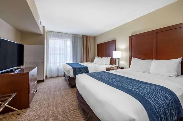 جناح بسريرين كوين، Comfort Inn & Suites Northern Kentucky 1/4