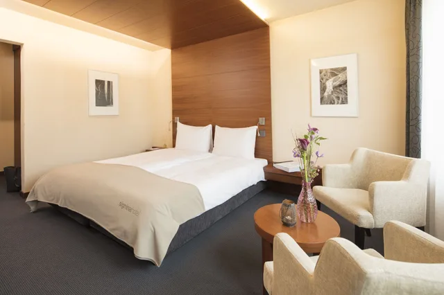 غرفة قياسية بسرير مزدوج بشرفة، SIGNINAHOTEL 4/5